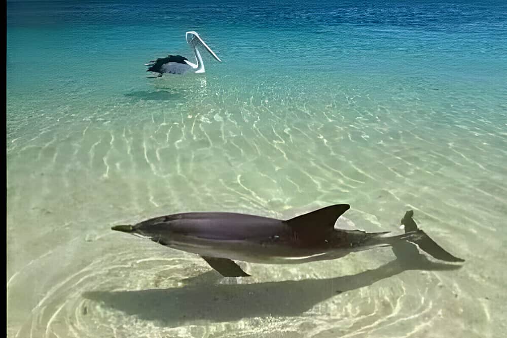 4 Day Yoga & Whole Food Cooking Retreat in Florida, US 8