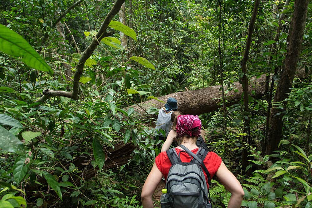 5 Day Renewal Art: Biorestorative Yoga, Balneotherapy, Portugal 6