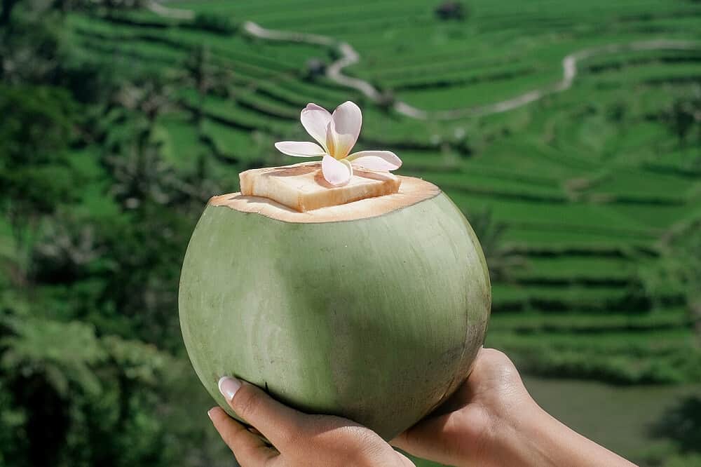 7 Day Wellness, Culture & Adventure Retreat in Bali, Indonesia 5