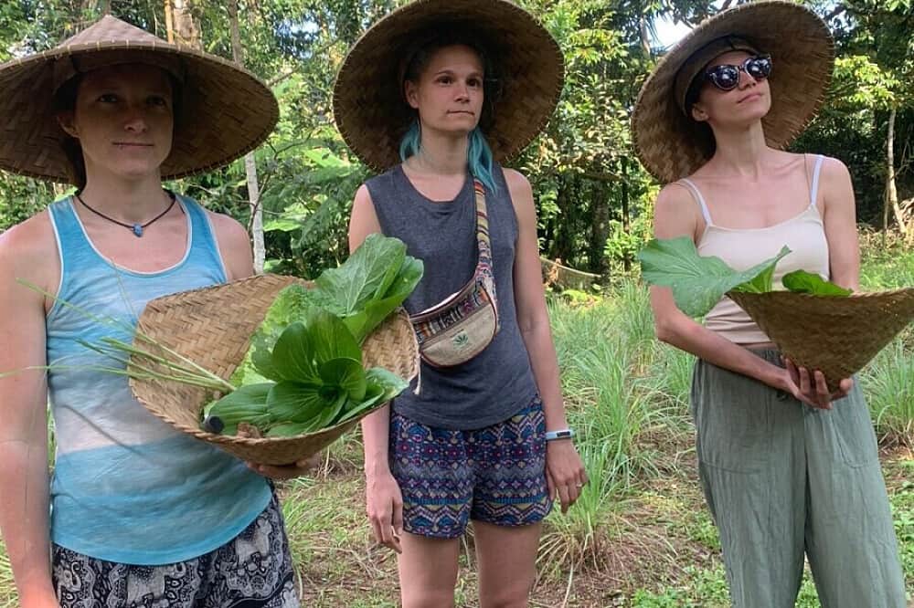 7 Day Wellness, Culture & Adventure Retreat in Bali, Indonesia 6