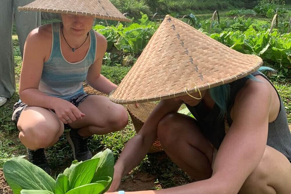 7 Day Wellness, Culture & Adventure Retreat in Bali, Indonesia 8