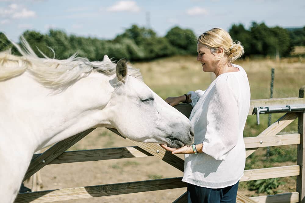 3 Day Nervous System Reset & Equine Therapy Retreat in the UK 6