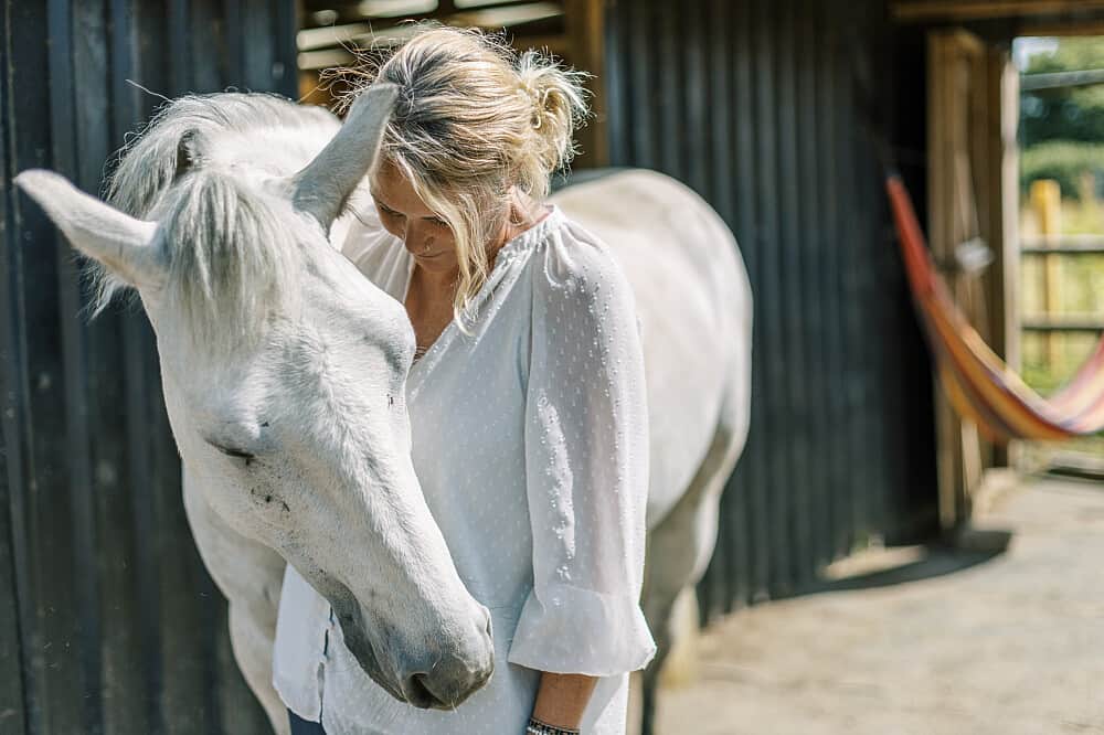 3 Day Nervous System Reset & Equine Therapy Retreat in the UK 7