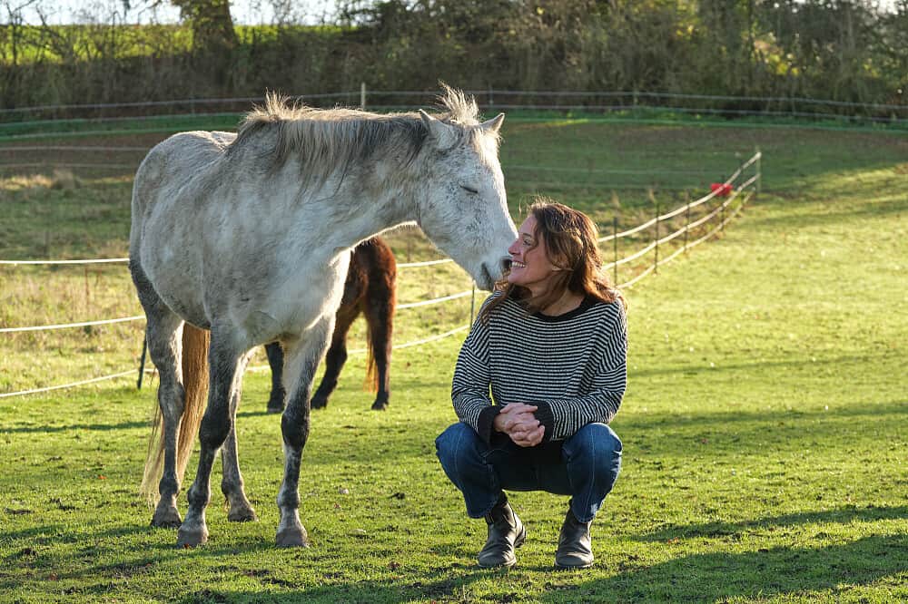 3 Day Nervous System Reset & Equine Therapy Retreat in the UK 1