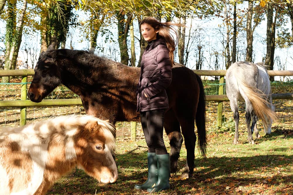 3 Day Nervous System Reset & Equine Therapy Retreat in the UK 2