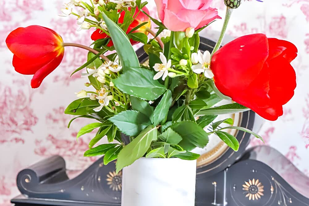 8 Day Ayurveda & Yoga Retreat with Daily Massage, France 7