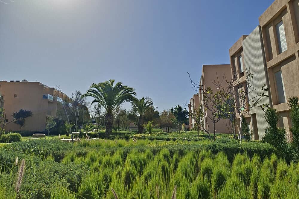 7 Day Gentle Yoga & Movement Retreat - Embodied Within 8