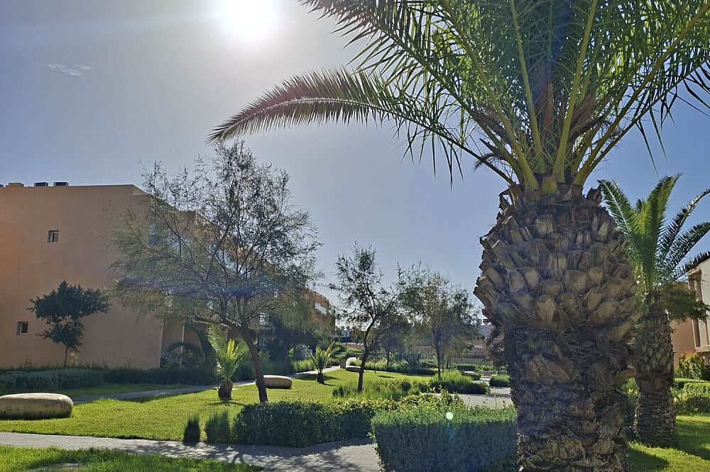 7 Day Gentle Yoga & Movement Retreat - Embodied Within 7