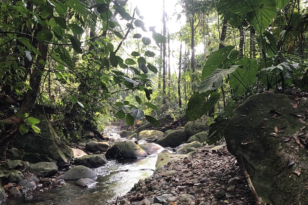 5 Day Couple Retreat With Ayahuasca, Colombia 6