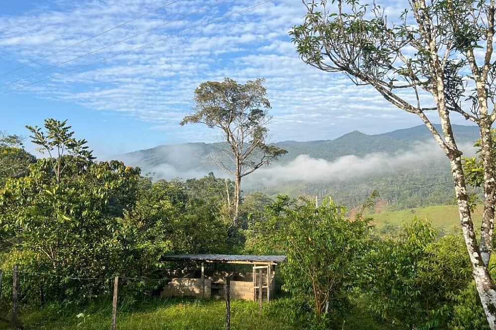 5 Day Couple Retreat With Ayahuasca, Colombia 5