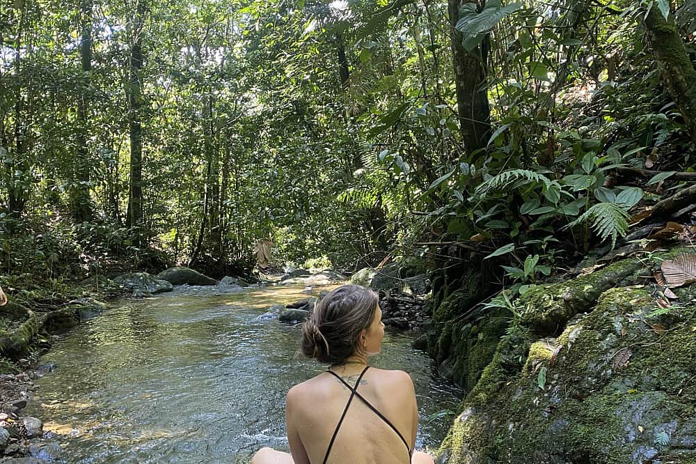 5 Day Couple Retreat With Ayahuasca, Colombia 4