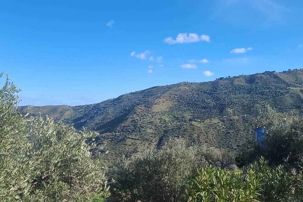 7 Day Hilltop Retreat: Yoga & Spirit Overlooking the Sicilian Sea 4