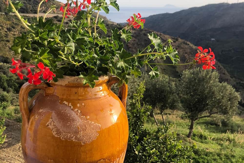 7 Day Hilltop Retreat: Yoga & Spirit Overlooking the Sicilian Sea 5