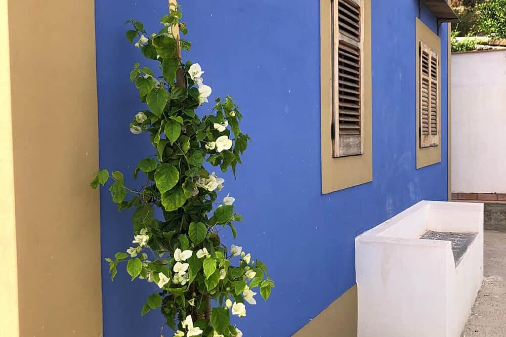 7 Day Hilltop Retreat: Yoga & Spirit Overlooking the Sicilian Sea 7