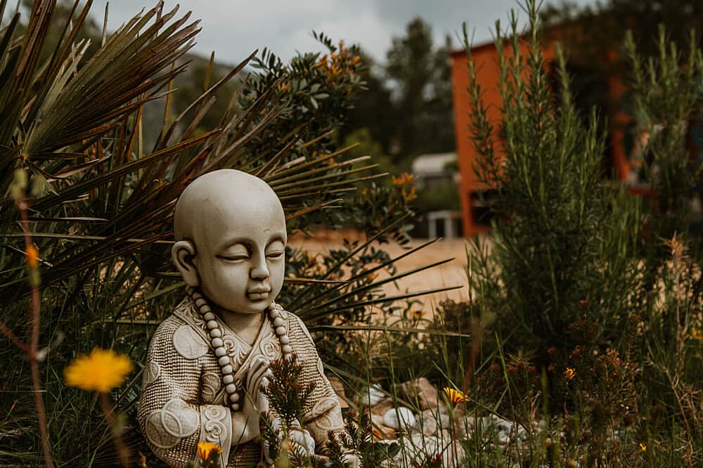 3 Day Sacred Plant Ceremony: Heal & Expand, Nature Paradise Spain 8