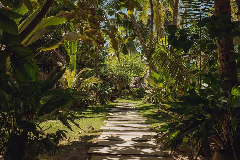 7 Day Somatic Intelligence & Yoga Retreat in Magdalena, Colombia 8