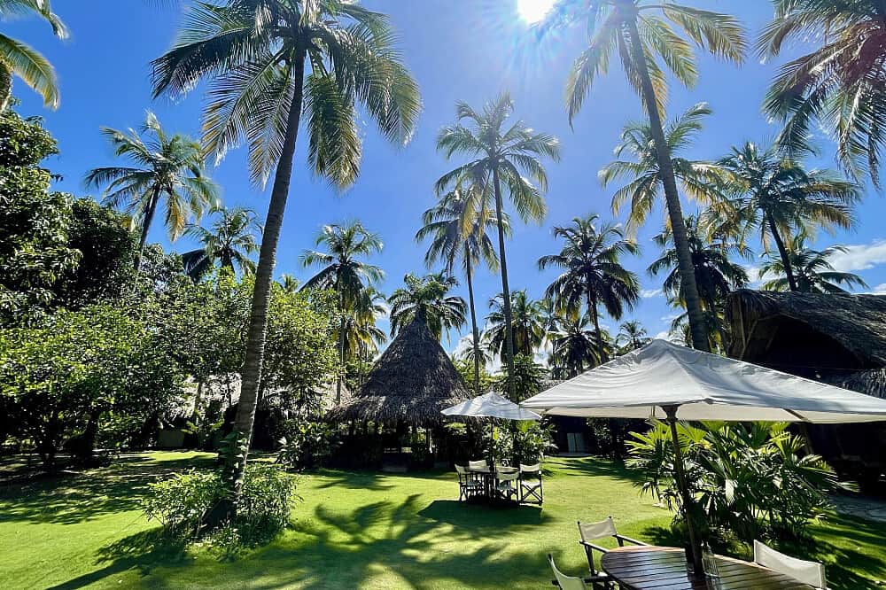 7 Day Somatic Intelligence & Yoga Retreat in Magdalena, Colombia 6