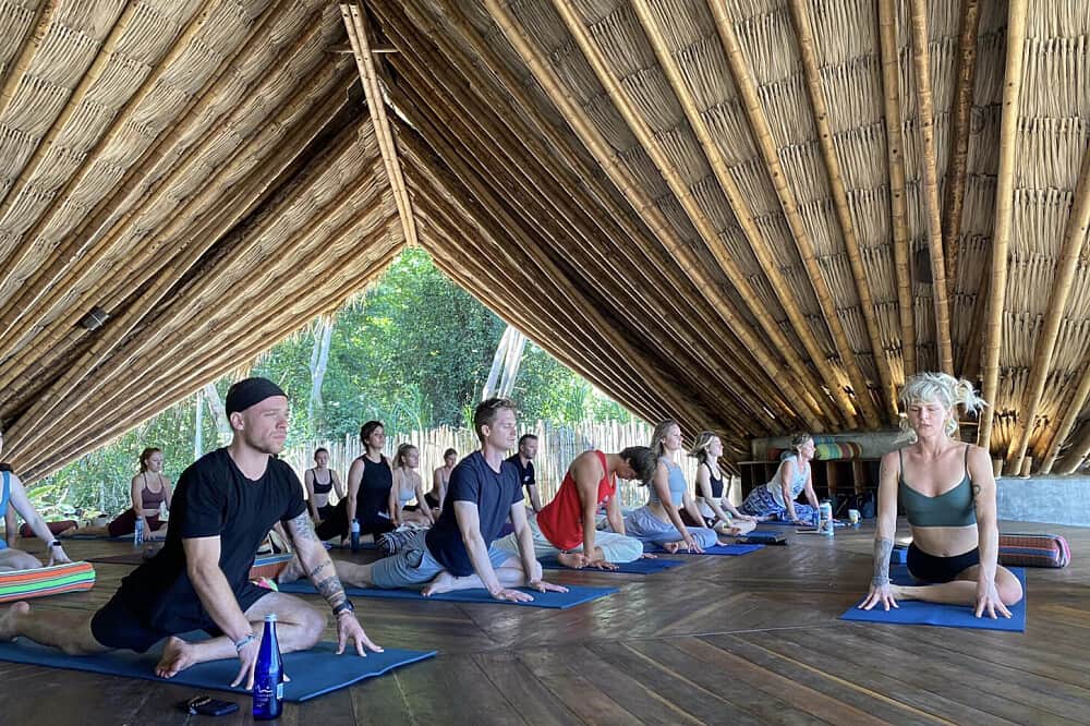 7 Day Somatic Intelligence & Yoga Retreat in Magdalena, Colombia 1