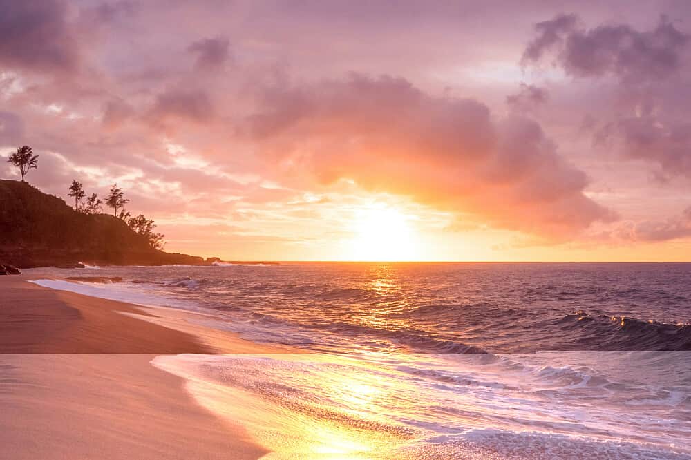 3 Day 1:1 Energetic Health Reset: Vitality, AR, US 4