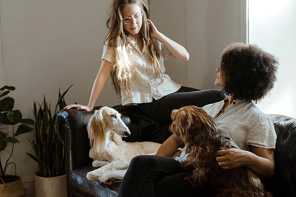 3 Day 1:1 Energetic Health Reset: Vitality, AR, US 8