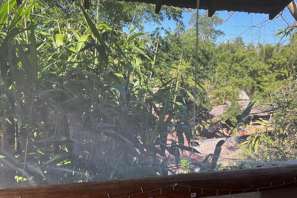 4 Day Private 1:1 Mushroom Therapy In Pai, Thailand 7