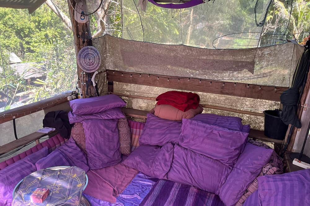 4 Day Private 1:1 Mushroom Therapy In Pai, Thailand 6