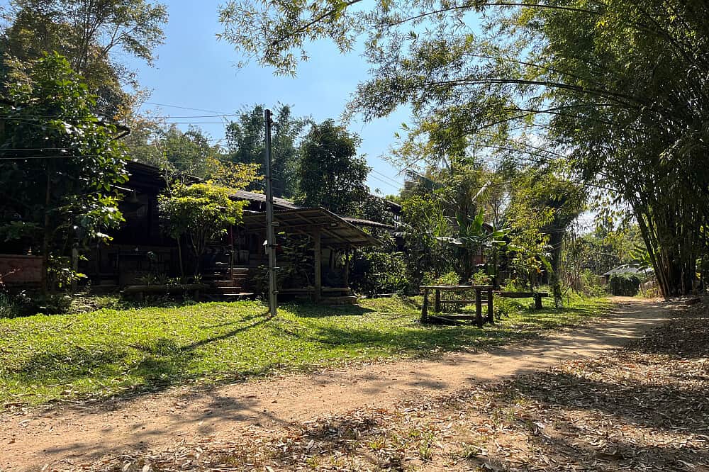 4 Day Private 1:1 Mushroom Therapy In Pai, Thailand 1