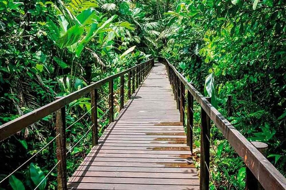 8 Day Rooted and Grounded Woman's Retreat in Costa Rica 6