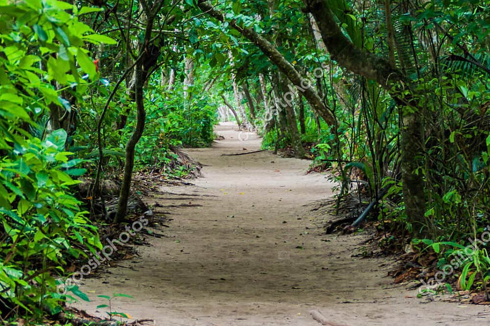 8 Day Rooted and Grounded Woman's Retreat in Costa Rica 8