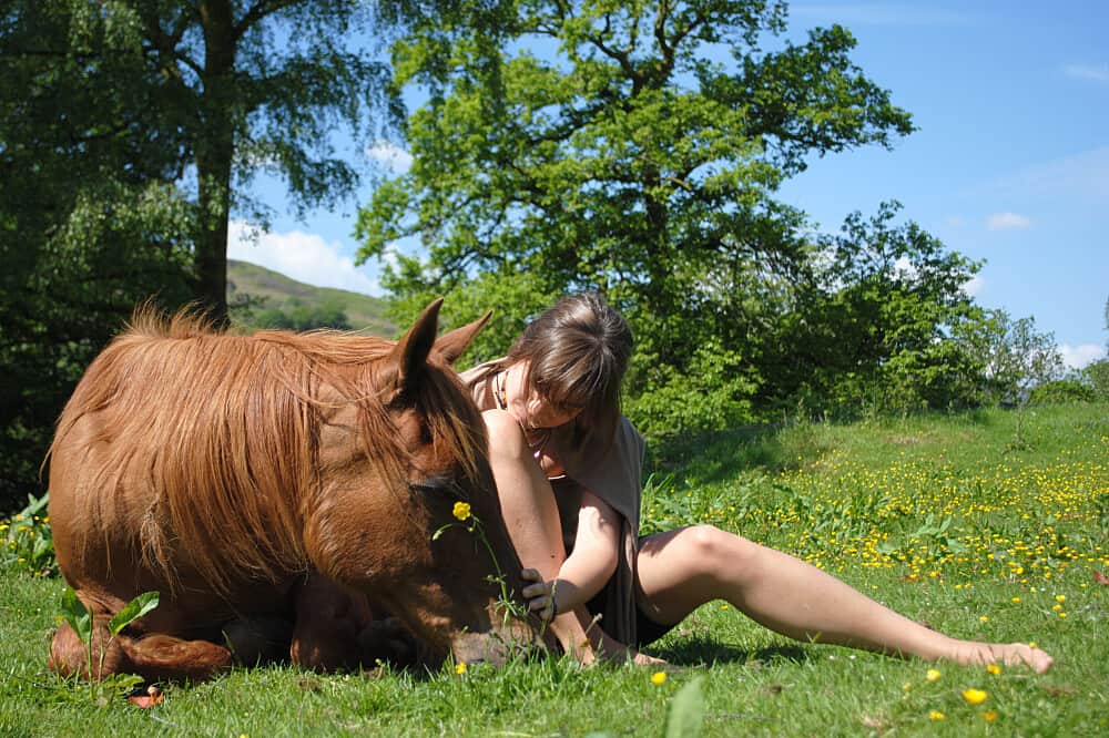 4 Day The Wild Woman With Horses Retreat in the UK 7