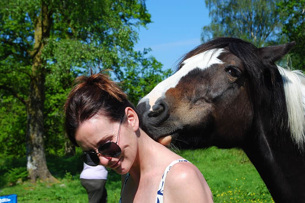 4 Day The Wild Woman With Horses Retreat in the UK 6