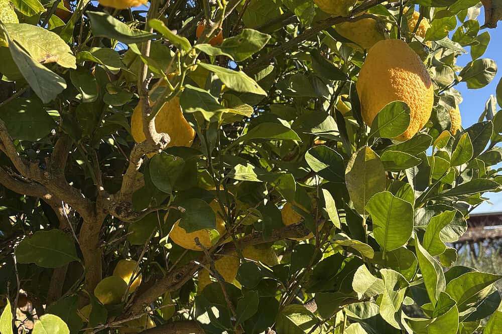 7 Day Sanftes Slow Therapeutic Yoga for 60 plus in Italy 8