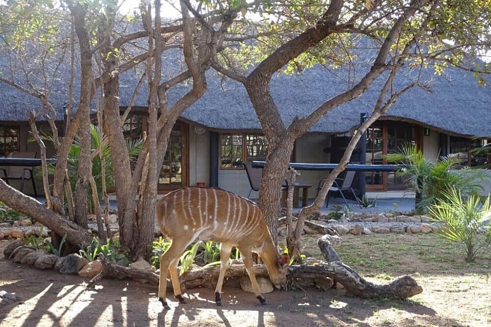 7 Day Return to Your True Self in African Bush, South Africa 6