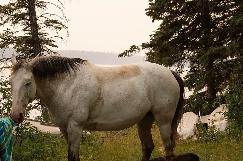 2 Day Mommy & Me Horse Retreat: Yoga, Camp & Adventure, Canada 4