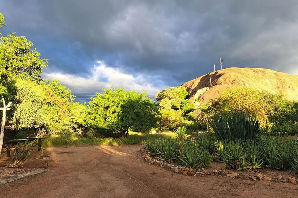 7 Day Bush Healing: Rest & Recover in Ancient Spring,South Africa 3
