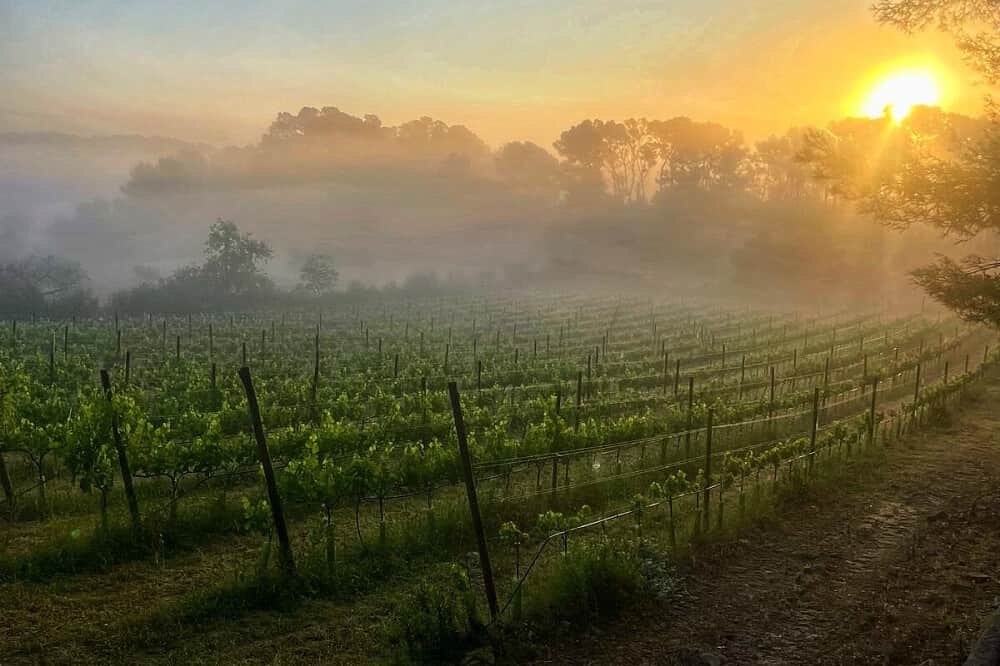 8 Day Radiate Bliss: Women’s Summer Sanctuary in Mallorca, Spain 7