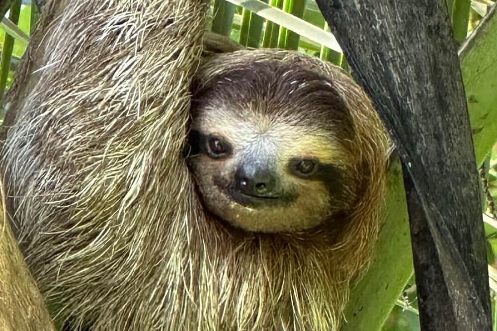 7 Day The Integrated Men's Retreat in Costa Rica 3