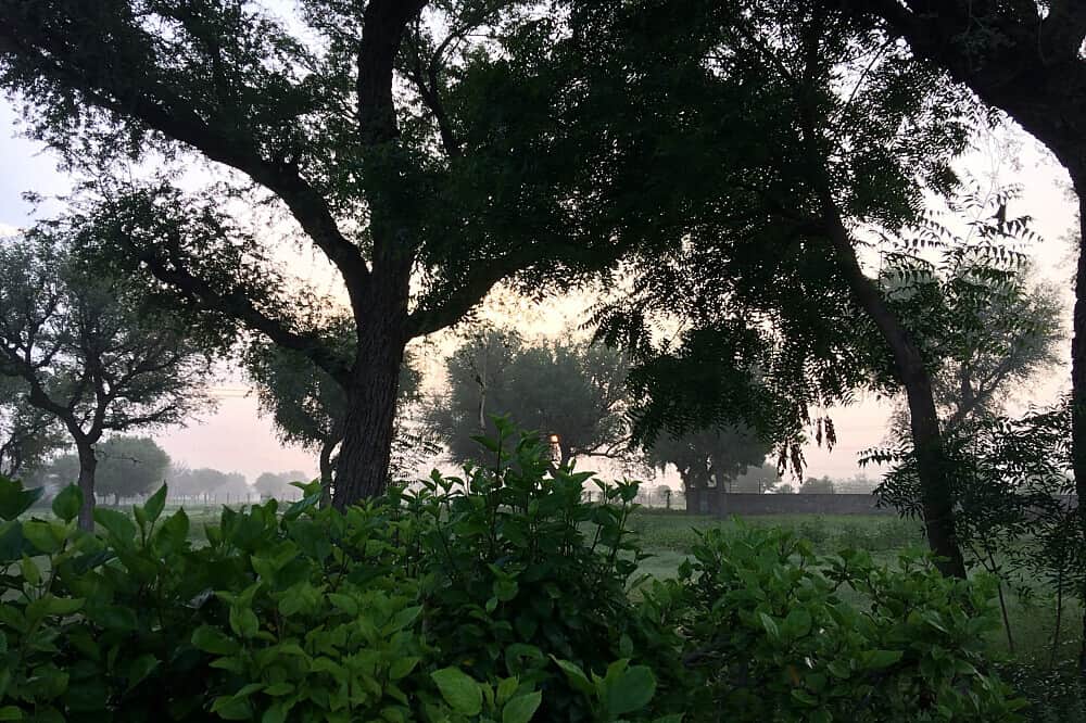 15 Day Yoga, Wellness and Experiential Retreat in Jaipur, India 3