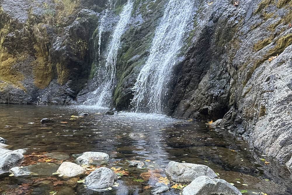 4 Day Align Your Light: Astrology & Yoga in California, USA 7