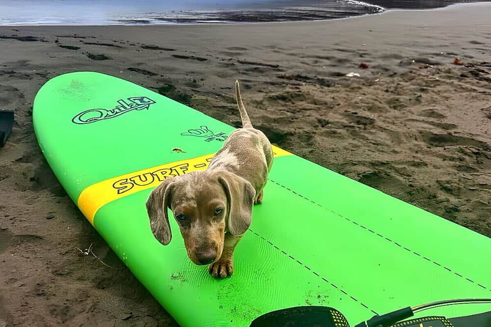 7 Day Surf, Yoga & Nature Exploration Retreat in Gran Canaria 2