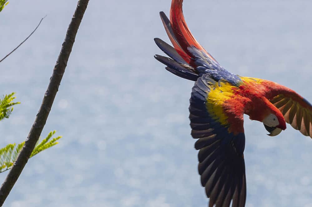 5 Day Rites of Purification & Dignity Experience in Costa Rica 6