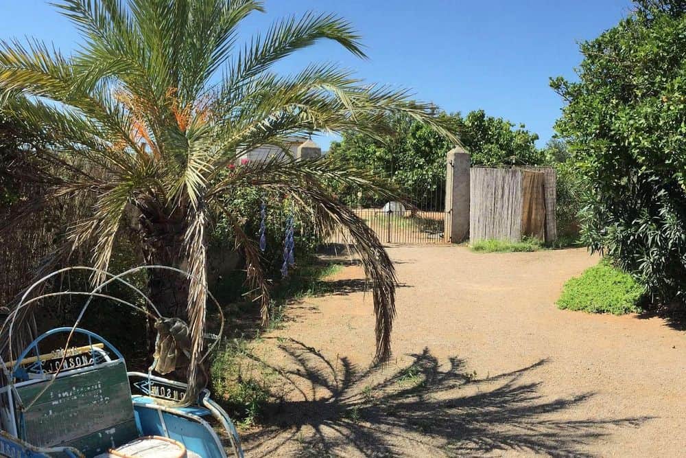 6 Day Awaken & Unwind: Bed, Yoga & Breakfast in Ibiza, Spain 8