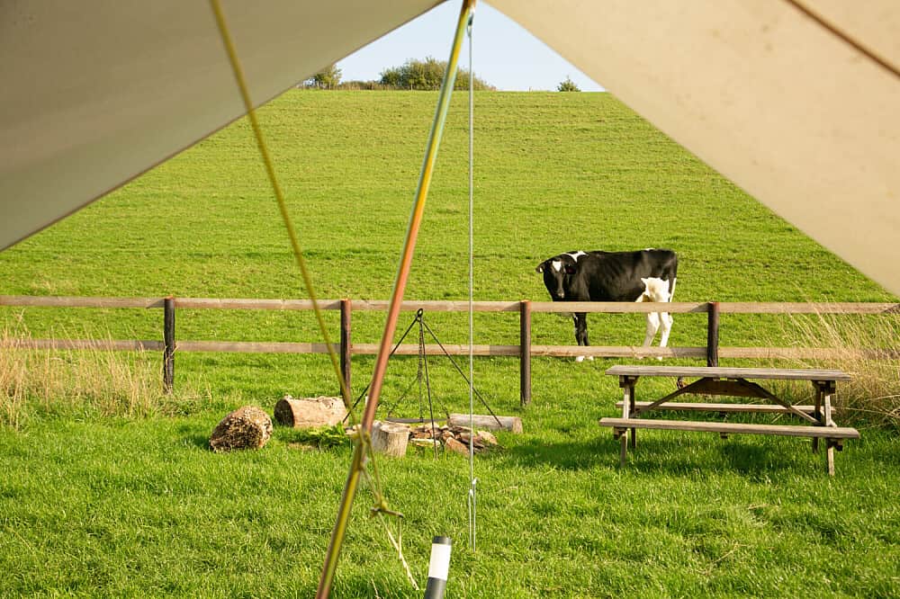 3 Day Full Body Flow Glamping Retreat in the Magical Cotswolds 4