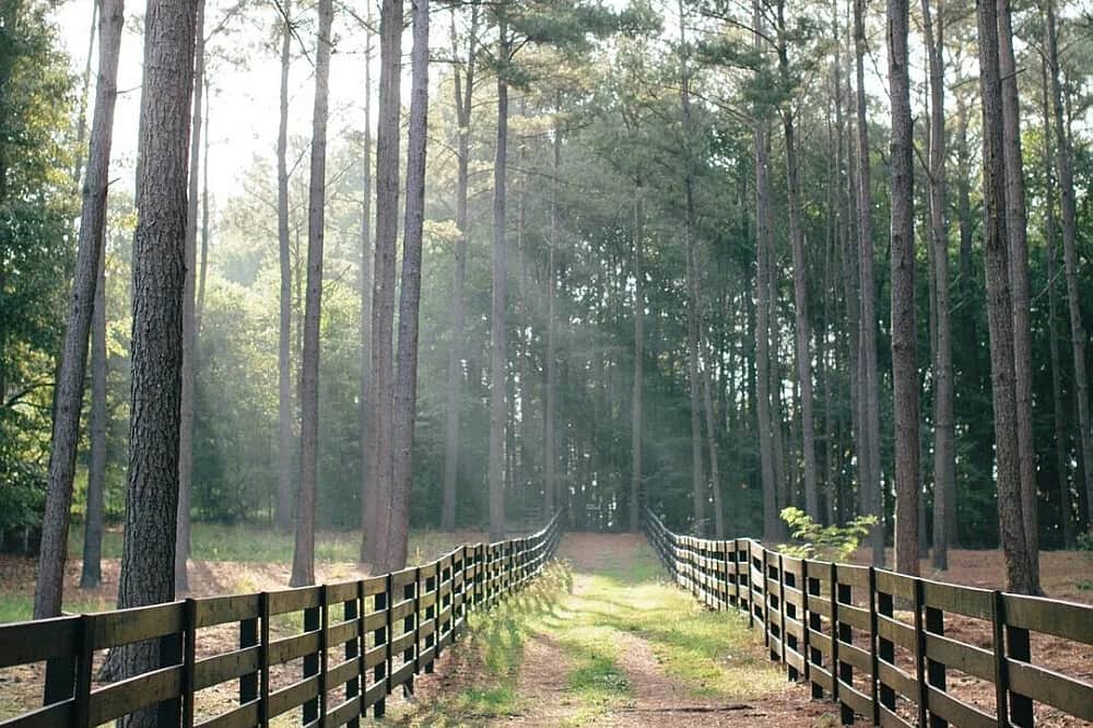 4 Day Wellness Reset for Black Women in Midlife Serenbe, GA 2