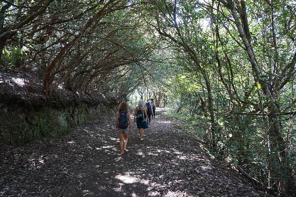 6 Day Calm Reset: Functional Breathing & Nature, Tenerife, Spain 6