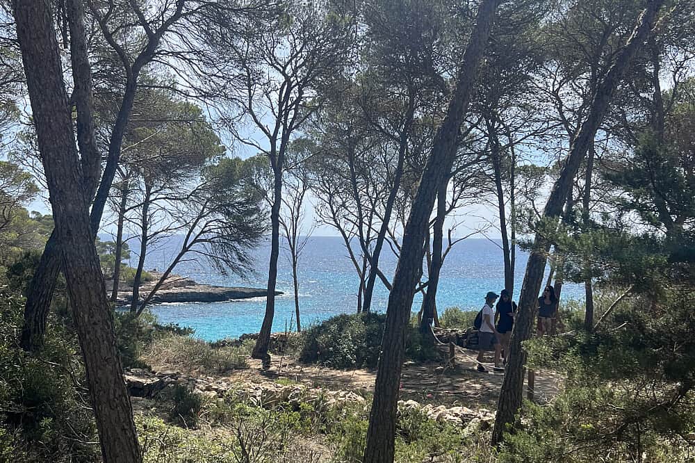 5 Day Yoga & Wellness: Reawakening Joy in Being You! in Spain 7