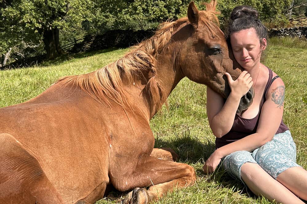 8 Day Silent Healing With Horses Retreat in Cumbria 5