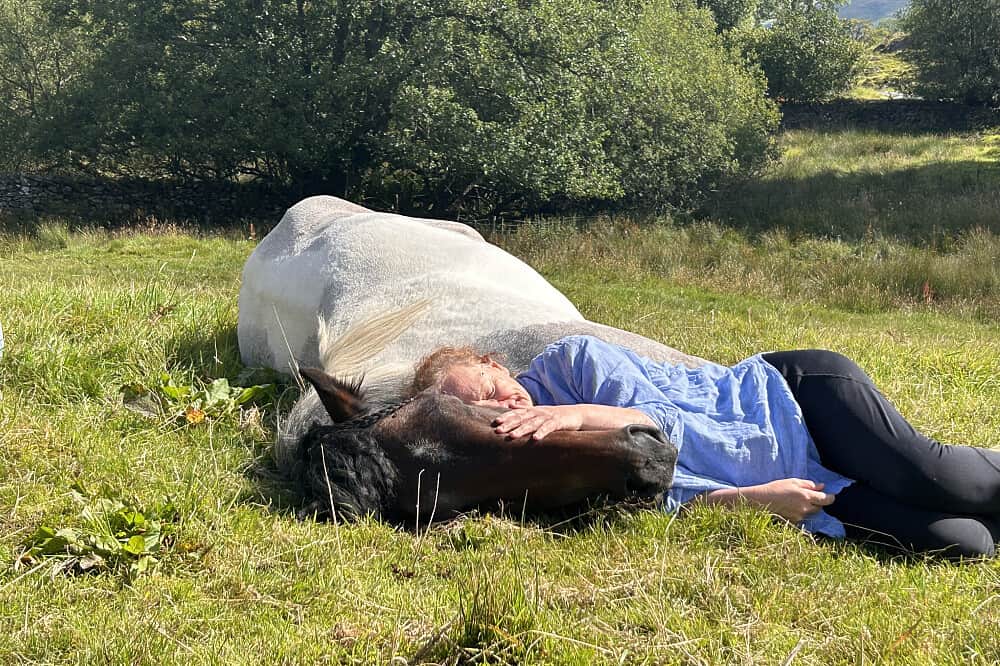 8 Day Silent Healing With Horses Retreat in Cumbria 8