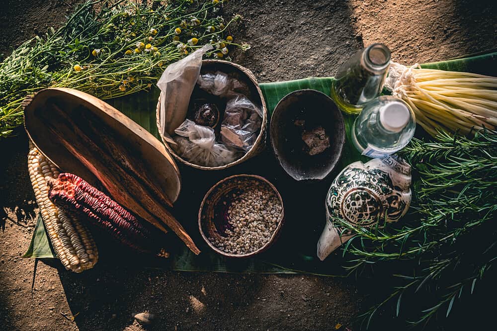 5 Day Private Immersion in Healing Indigenous Medicine in Mexico 6