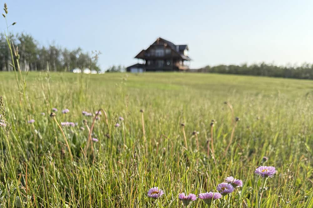 3 Day Soft Beginnings A Spring Yoga Retreat, Canada 7